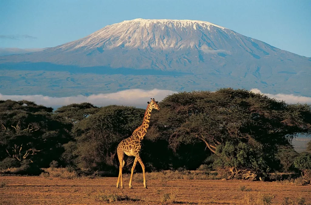 Mount Kilimanjaro,Tanzania